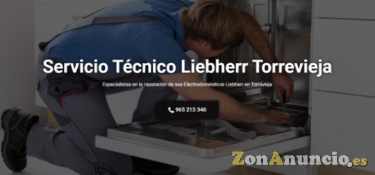 Servicio Técnico Liebherr Torrevieja 965217105